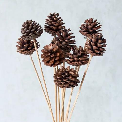 Pine Cone Sticks (Brown) - Set of 10